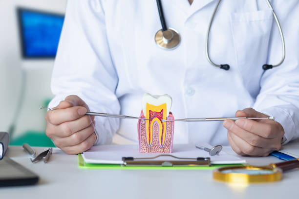 Best Tooth Pain Emergency Relief  in Upper Arlington, OH